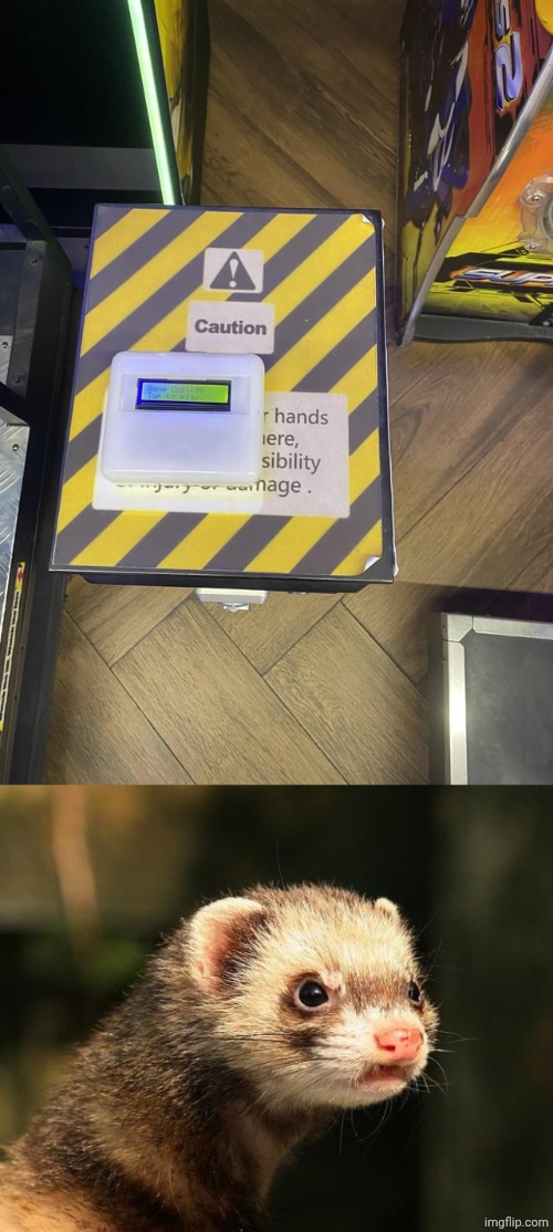 Sign blocked | image tagged in frustrated ferret,sign,caution,you had one job,memes,caution sign | made w/ Imgflip meme maker