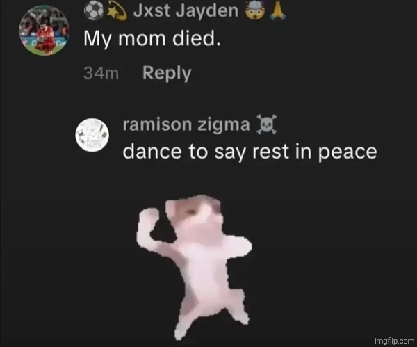 TikTok mfs trying to take anything serious: | made w/ Imgflip meme maker
