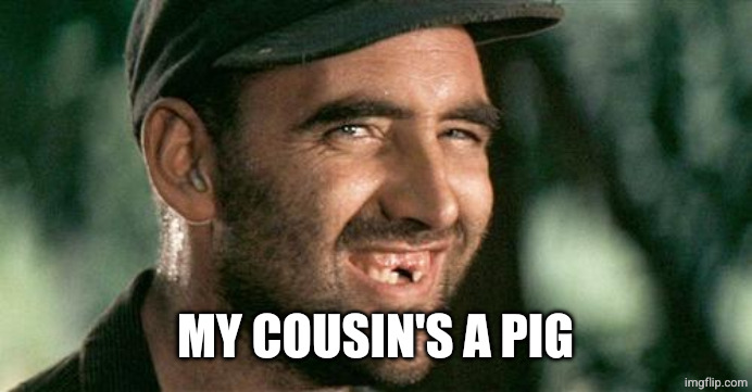 Deliverance HIllbilly | MY COUSIN'S A PIG | image tagged in deliverance hillbilly | made w/ Imgflip meme maker
