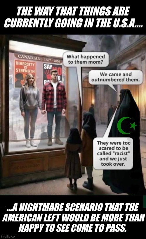 The left are the useful idiots of radical Islam… | image tagged in political meme,the future,islam,leftists,nightmare scenario,outnumbered | made w/ Imgflip meme maker