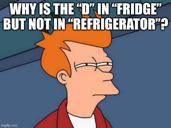 why tho are they not the same thing | WHY IS THE “D” IN “FRIDGE” BUT NOT IN “REFRIGERATOR”? | image tagged in memes,futurama fry | made w/ Imgflip meme maker