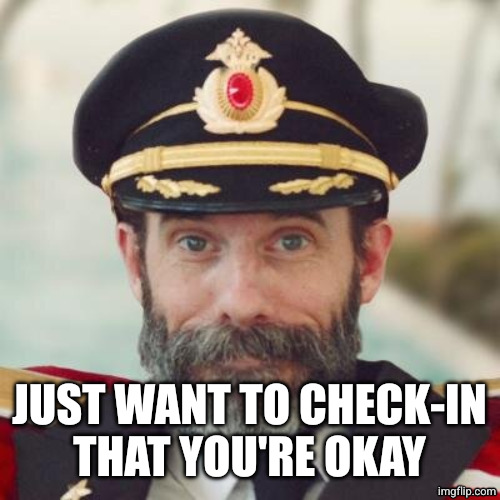Captain Obvious | JUST WANT TO CHECK-IN
THAT YOU'RE OKAY | image tagged in captain obvious | made w/ Imgflip meme maker