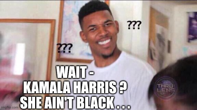 Black guy confused | WAIT -
KAMALA HARRIS ?

SHE AIN'T BLACK . . . | image tagged in black guy confused | made w/ Imgflip meme maker