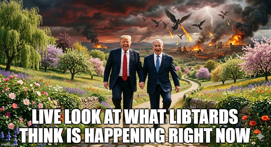 Oh No, the Apocolypse | LIVE LOOK AT WHAT LIBTARDS THINK IS HAPPENING RIGHT NOW | image tagged in politics,trump,iran | made w/ Imgflip meme maker