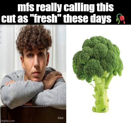 I don't see a difference | mfs really calling this cut as "fresh" these days 🥀 | image tagged in bad haircut | made w/ Imgflip meme maker