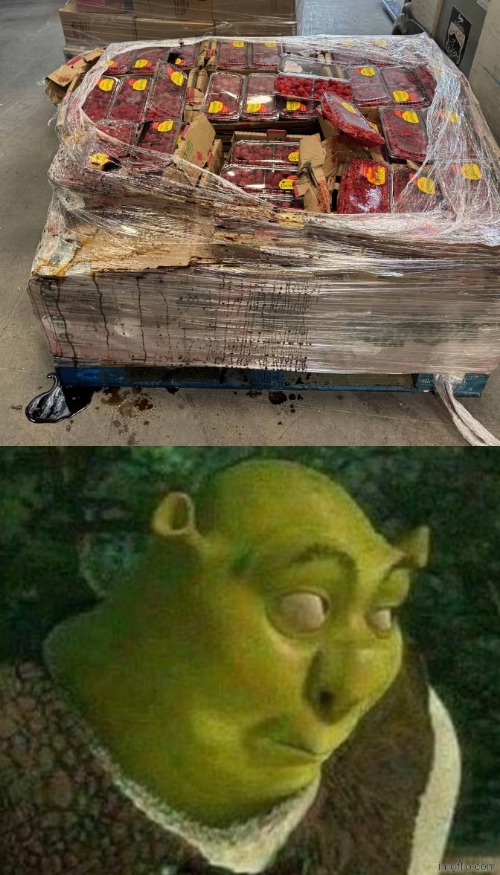A mess from raspberries | image tagged in oops shrek,mess,raspberries,fruits,you had one job,memes | made w/ Imgflip meme maker