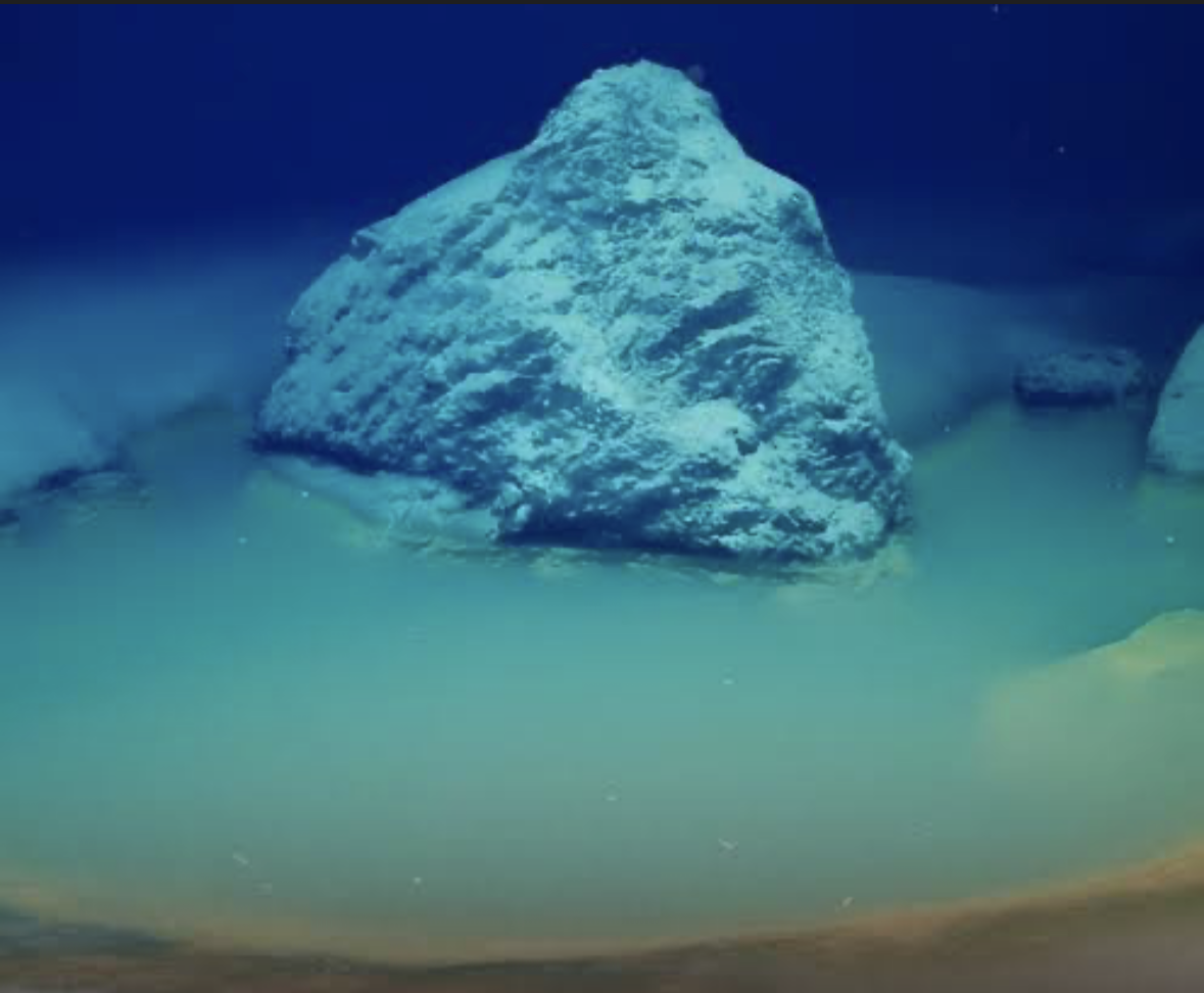 Bottom of ocean Blank Meme Template