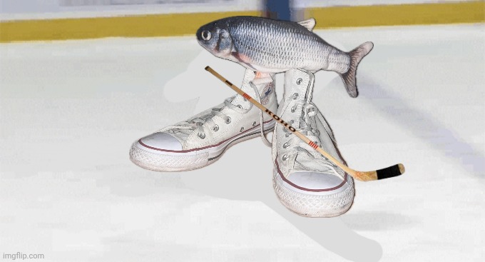 hockey | image tagged in hockey | made w/ Imgflip meme maker