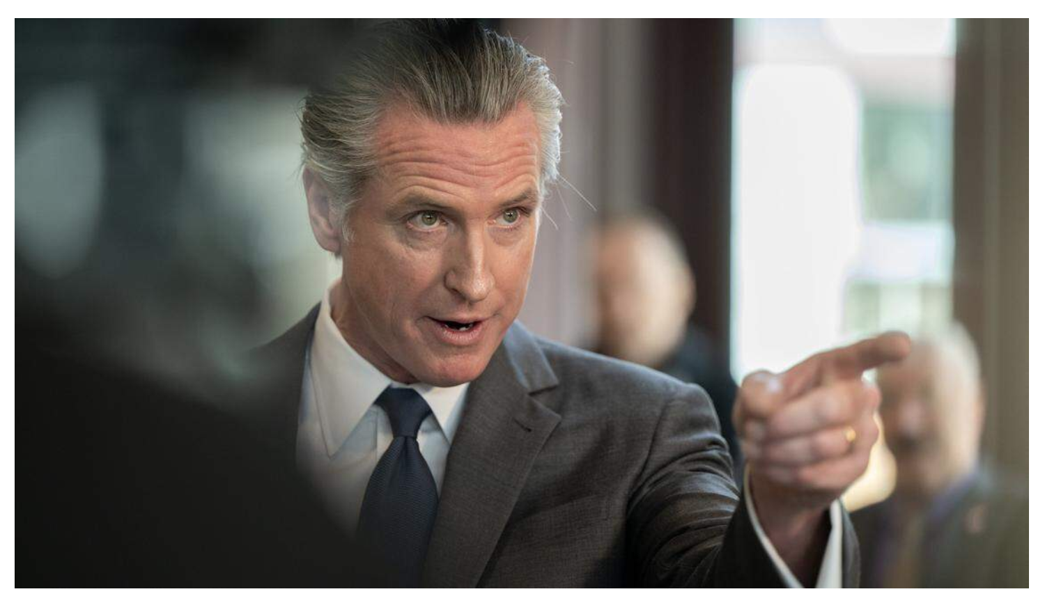 newsom pointing Blank Meme Template