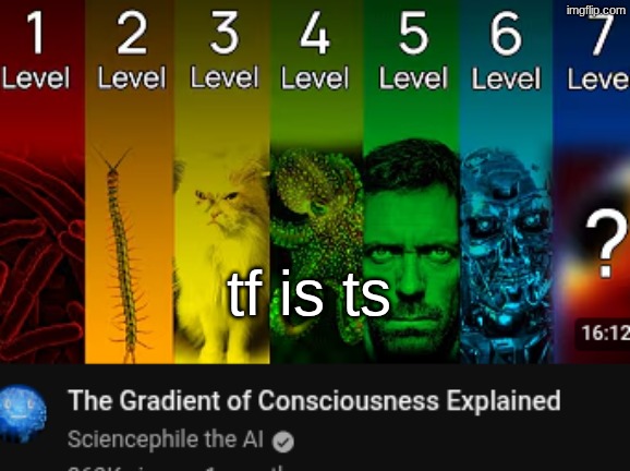 tf is ts | made w/ Imgflip meme maker