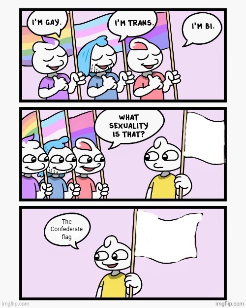 What Sexuality Is That? | The Confederate flag | image tagged in what sexuality is that | made w/ Imgflip meme maker