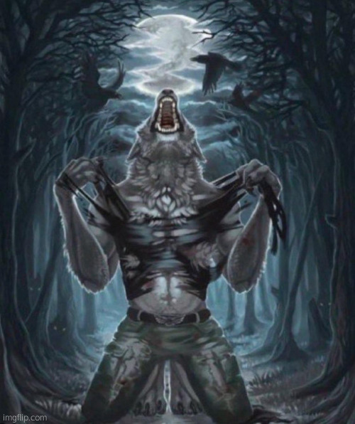 Alpha Wolf | image tagged in alpha wolf | made w/ Imgflip meme maker