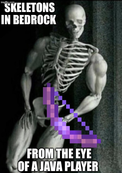 Buff Skeleton | SKELETONS IN BEDROCK; FROM THE EYE OF A JAVA PLAYER | image tagged in buff skeleton | made w/ Imgflip meme maker