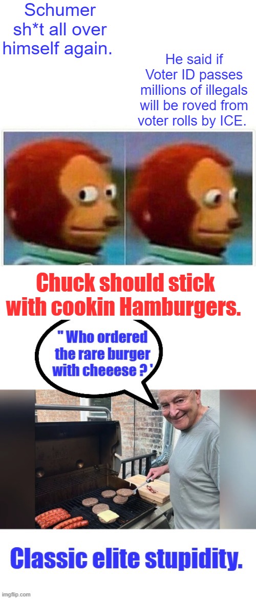 The Dem party is full of pathetic idiots. | Schumer sh*t all over himself again. He said if Voter ID passes millions of illegals will be roved from voter rolls by ICE. Chuck should stick with cookin Hamburgers. | image tagged in memes,monkey puppet | made w/ Imgflip meme maker