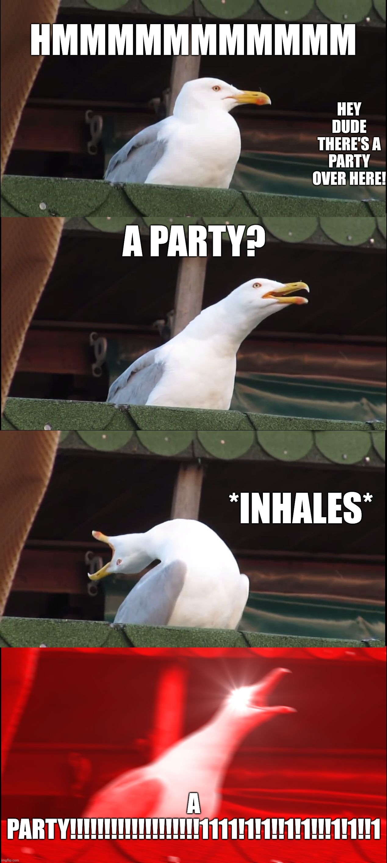 Inhaling Seagull | HMMMMMMMMMMM; HEY DUDE THERE'S A PARTY OVER HERE! A PARTY? *INHALES*; A PARTY!!!!!!!!!!!!!!!!!!!1111!1!1!!1!1!!!1!1!!1 | image tagged in memes,inhaling seagull | made w/ Imgflip meme maker