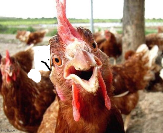 Chicken | image tagged in chicken | made w/ Imgflip meme maker