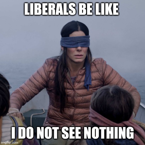 Bird Box Meme | LIBERALS BE LIKE I DO NOT SEE NOTHING | image tagged in memes,bird box | made w/ Imgflip meme maker