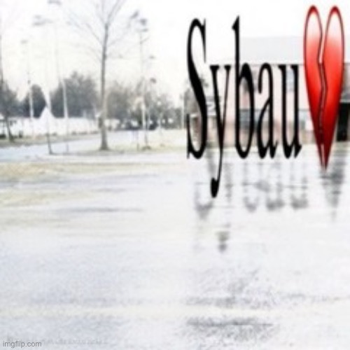 Sybau empty | image tagged in sybau empty | made w/ Imgflip meme maker