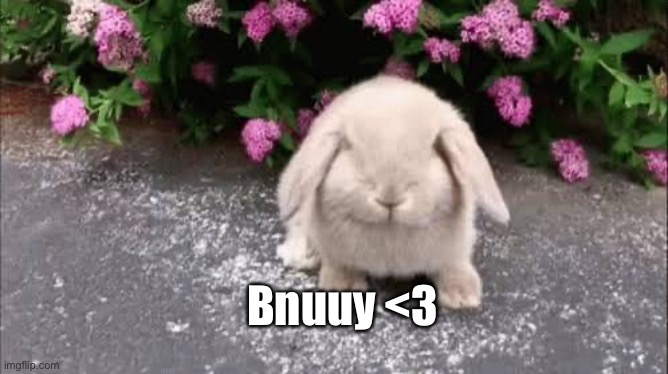 Bnuuy <3 | made w/ Imgflip meme maker