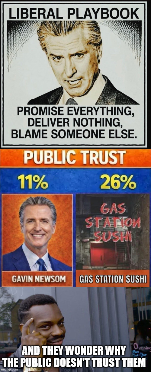 Public trust | AND THEY WONDER WHY THE PUBLIC DOESN'T TRUST THEM | image tagged in memes,roll safe think about it,public trust | made w/ Imgflip meme maker