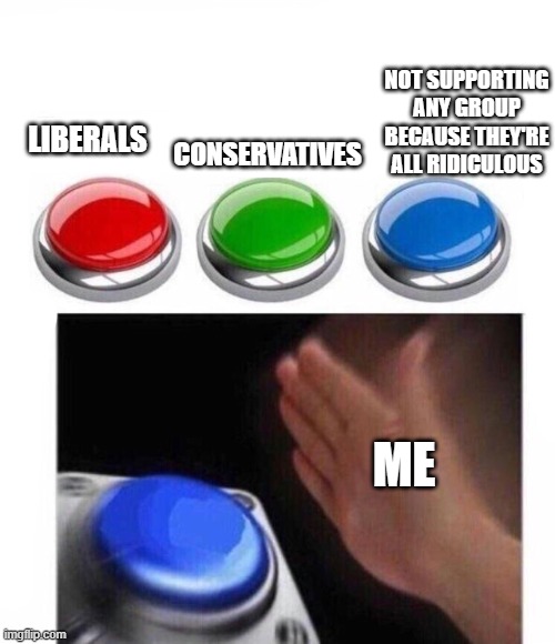 Three Buttons | NOT SUPPORTING ANY GROUP BECAUSE THEY'RE ALL RIDICULOUS; LIBERALS; CONSERVATIVES; ME | image tagged in three buttons | made w/ Imgflip meme maker