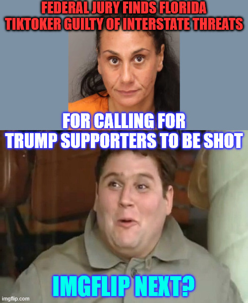 Next? | FEDERAL JURY FINDS FLORIDA TIKTOKER GUILTY OF INTERSTATE THREATS; FOR CALLING FOR TRUMP SUPPORTERS TO BE SHOT; IMGFLIP NEXT? | image tagged in flounder,violent lefties | made w/ Imgflip meme maker