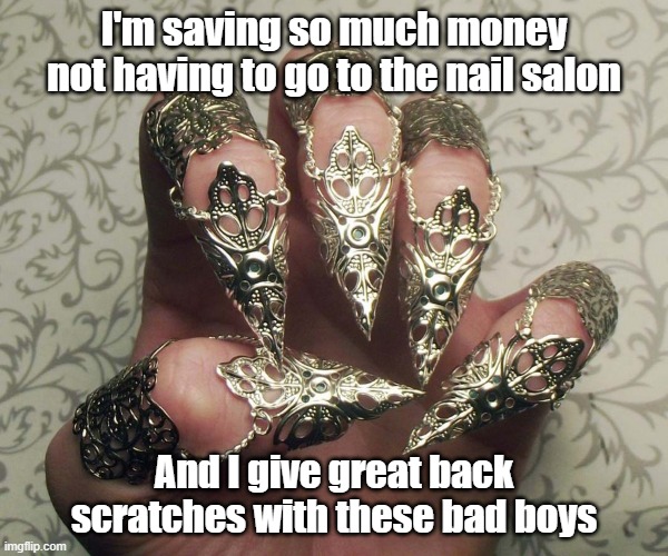 Skritches | I'm saving so much money not having to go to the nail salon; And I give great back scratches with these bad boys | image tagged in scratch,nailed it,ahh,thrifty,money | made w/ Imgflip meme maker