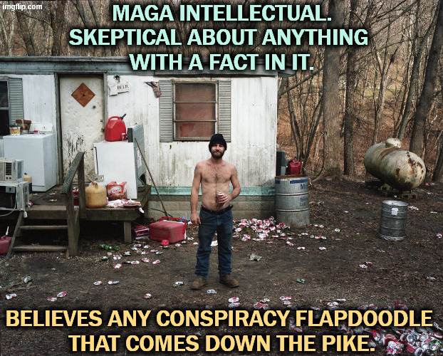 MAGA intellectual | MAGA INTELLECTUAL.
SKEPTICAL ABOUT ANYTHING 
WITH A FACT IN IT. BELIEVES ANY CONSPIRACY FLAPDOODLE 
THAT COMES DOWN THE PIKE. | image tagged in trailer trash,maga,qanon,conspiracy,facts,evidence | made w/ Imgflip meme maker