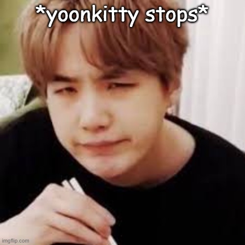 *yoonkitty stops* | made w/ Imgflip meme maker