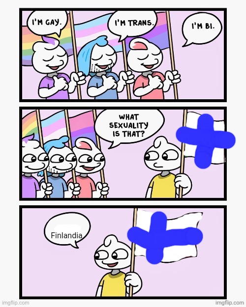 What Sexuality Is That? | Finlandia | image tagged in what sexuality is that | made w/ Imgflip meme maker