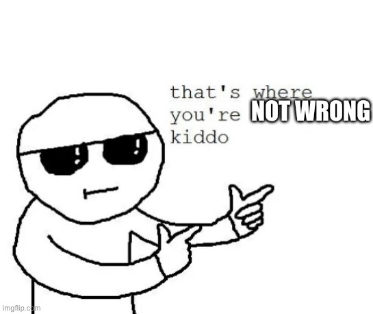 That's where you're wrong kiddo | NOT WRONG | image tagged in that's where you're wrong kiddo | made w/ Imgflip meme maker