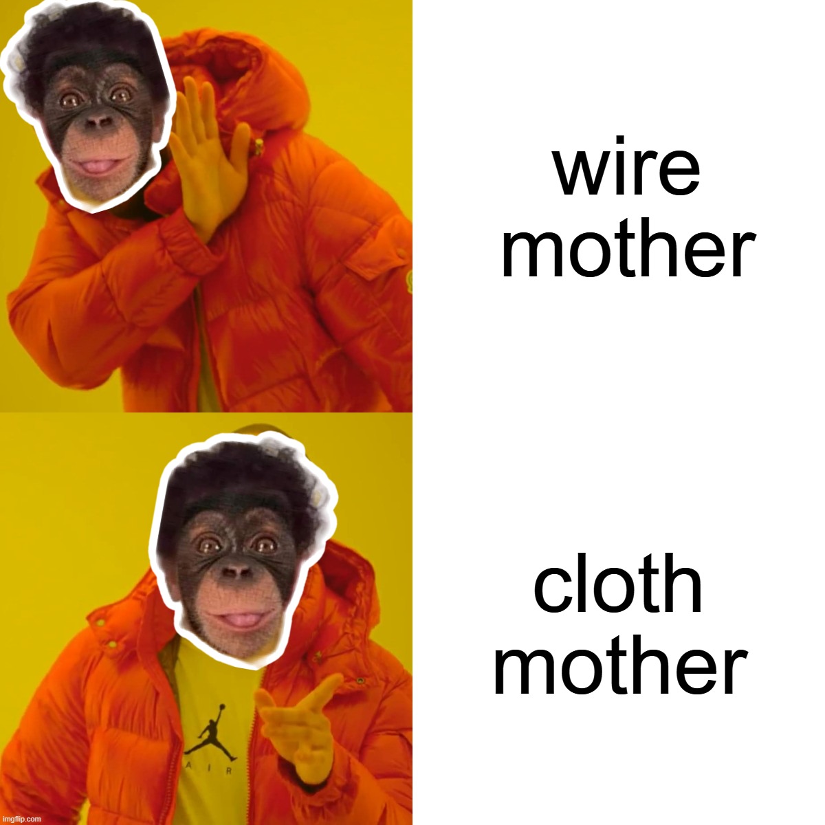 developmental psychology | wire mother; cloth mother | image tagged in memes,drake hotline bling | made w/ Imgflip meme maker
