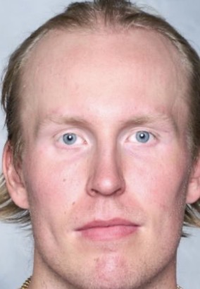 Laine Fortnite Blank Meme Template