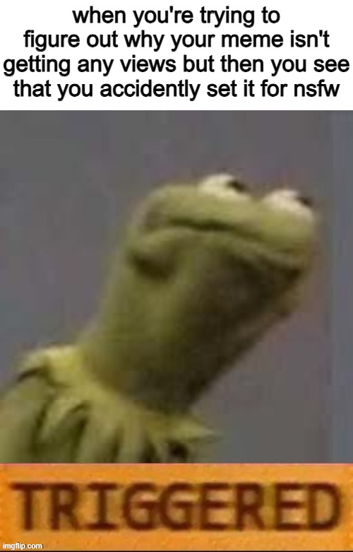 Who was the chucklef*ck that made the NSFW checkmark 2 micrometers away from the tags section | when you're trying to figure out why your meme isn't getting any views but then you see that you accidently set it for nsfw | image tagged in kermit triggered,nsfw,kermit the frog,memes,imgflip,lol so funny | made w/ Imgflip meme maker