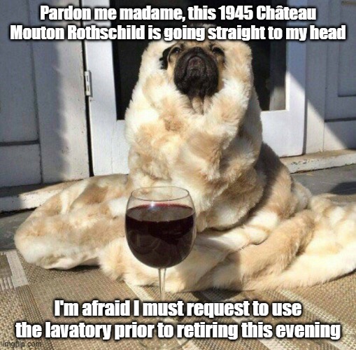 You Really Reading This | Pardon me madame, this 1945 Château Mouton Rothschild is going straight to my head; I'm afraid I must request to use the lavatory prior to retiring this evening | image tagged in dog,snooty,rich,potty | made w/ Imgflip meme maker