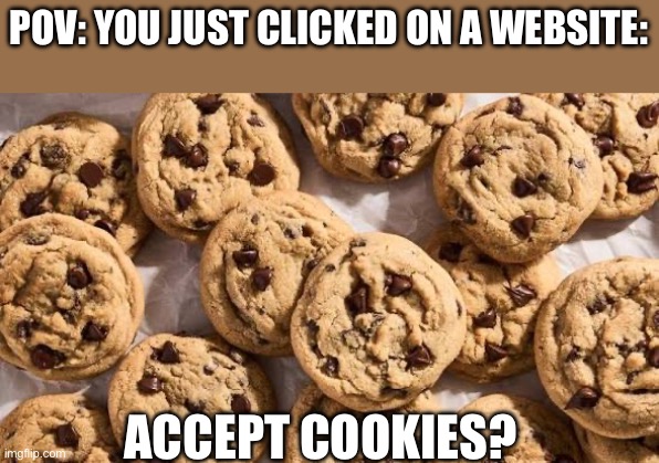 cookies | POV: YOU JUST CLICKED ON A WEBSITE:; ACCEPT COOKIES? | image tagged in cookies,funny,memes,website,sweets,true | made w/ Imgflip meme maker