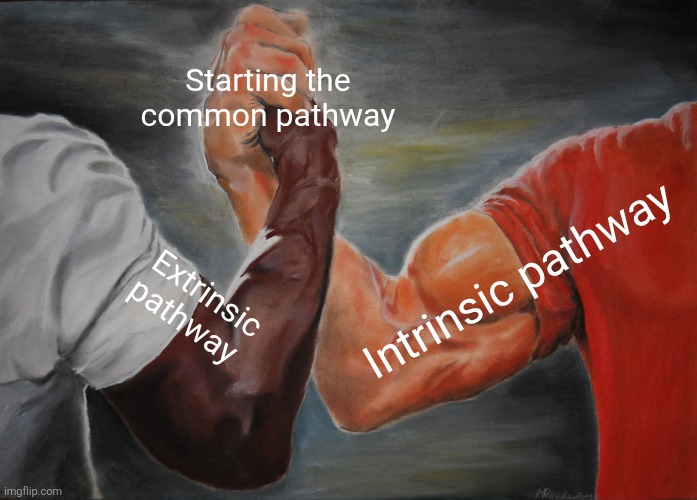 Epic Handshake Meme | Starting the common pathway; Extrinsic pathway; Intrinsic pathway | image tagged in memes,epic handshake | made w/ Imgflip meme maker