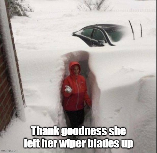 Little Bit A Snow | Thank goodness she left her wiper blades up | image tagged in life hack,snow,didn't help,go south | made w/ Imgflip meme maker