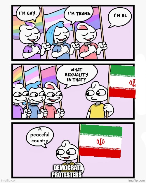 Prob the most political I’ve gotten here lol | A peaceful country; DEMOCRAT PROTESTERS | image tagged in what sexuality is that | made w/ Imgflip meme maker