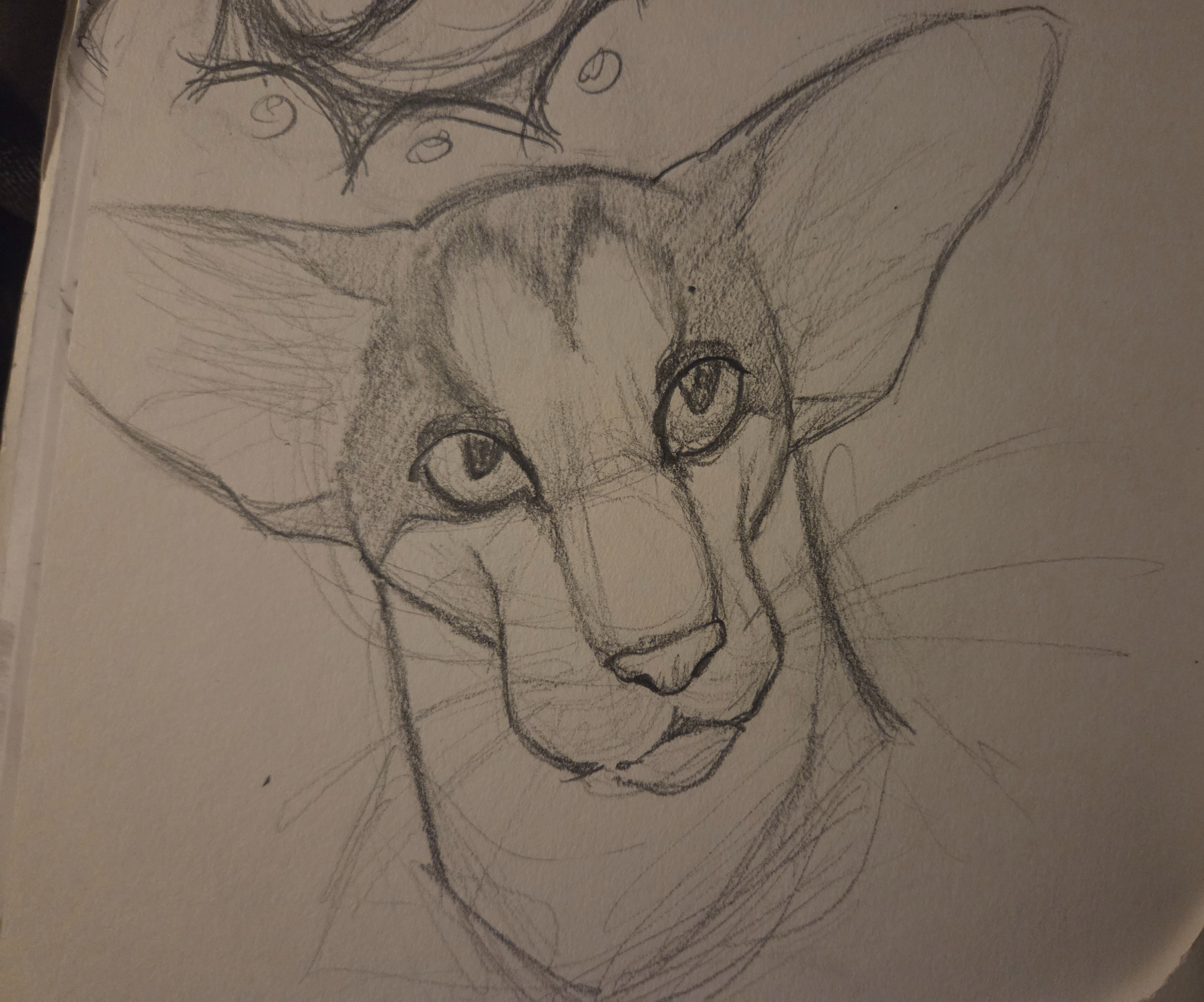 I liked this Blank Meme Template