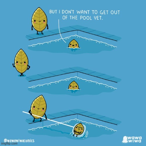 image tagged in leaf,leaves,pool,swimming pool,net,oof | made w/ Imgflip meme maker