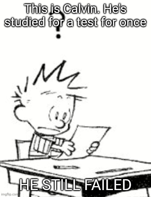 Excuse me what? | This is Calvin. He's studied for a test for once; HE STILL FAILED | image tagged in excuse me what | made w/ Imgflip meme maker