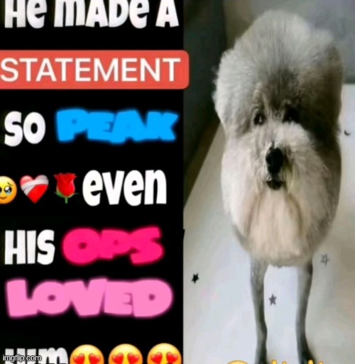 He made a statement so peak | image tagged in he made a statement so peak | made w/ Imgflip meme maker