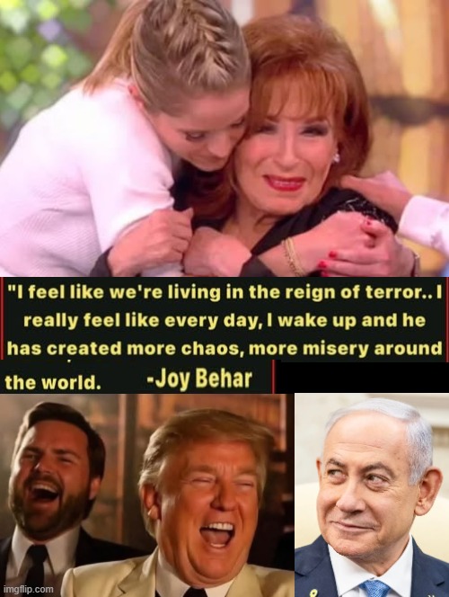 The View is living in a reign of terror, that terror is my Joy, Joy Behar! | image tagged in terror,joy | made w/ Imgflip meme maker