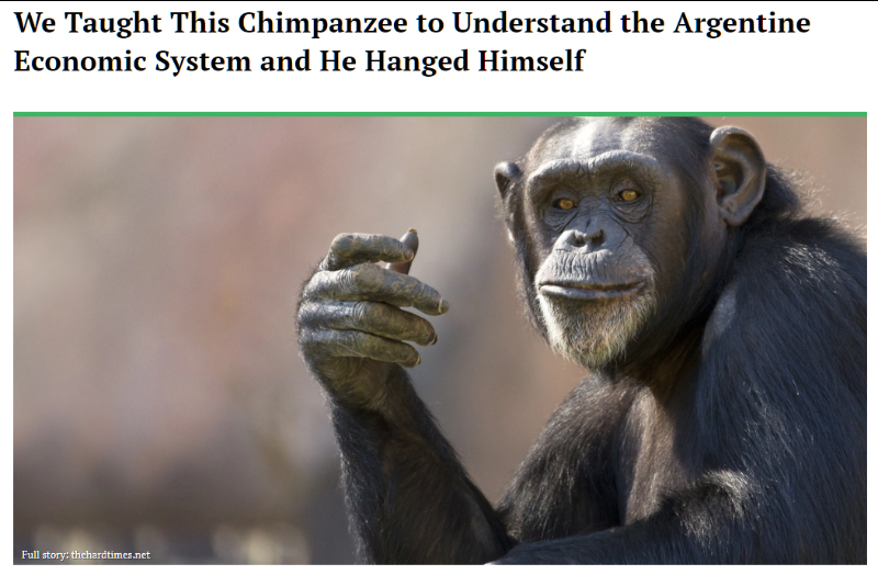 We Taught This Chimpanzee Blank Meme Template