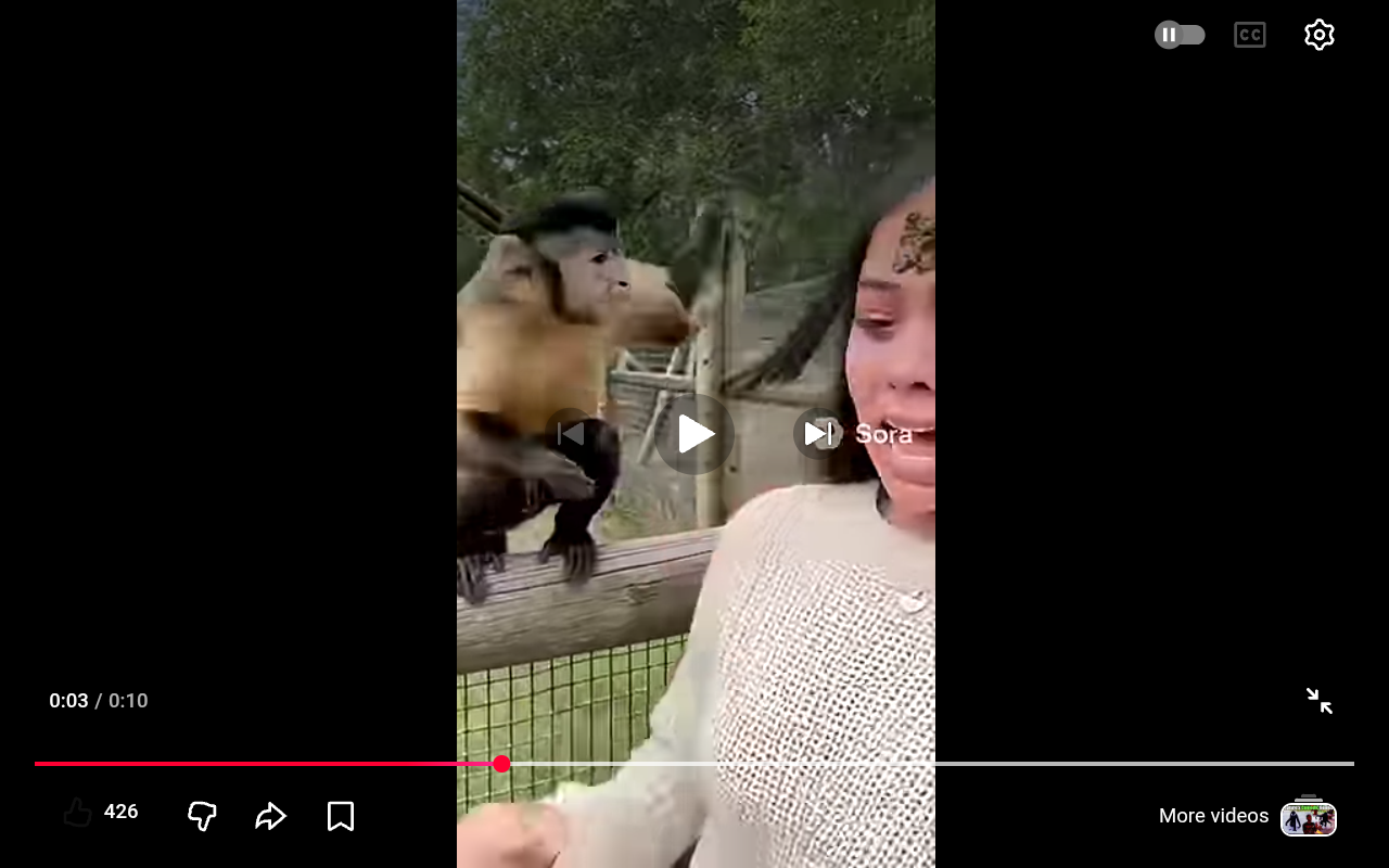 Monkey throws poop at woman Blank Meme Template
