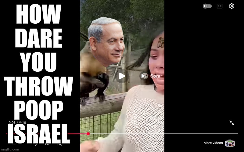 Monkey throws poop at woman | HOW
DARE
YOU
THROW
POOP
ISRAEL | image tagged in monkey throws poop at woman | made w/ Imgflip meme maker