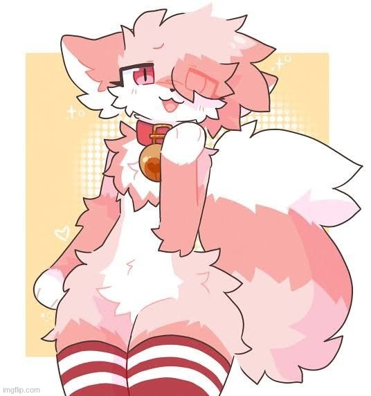 imgflip.com/ameowo (meow + owo) | made w/ Imgflip meme maker