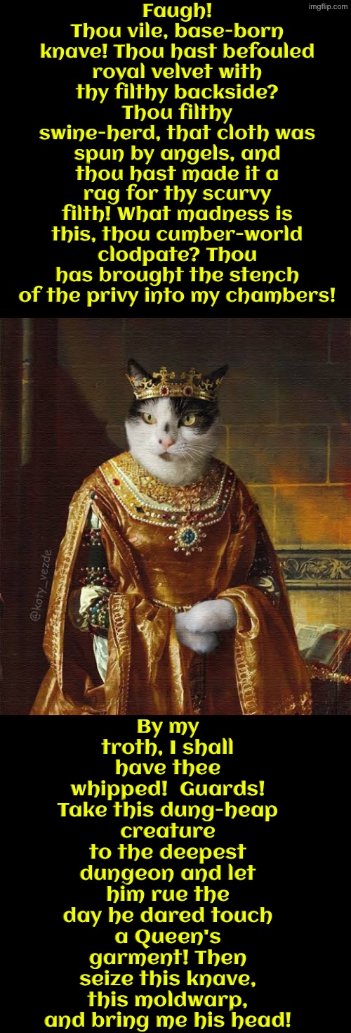 Thou Hast Befouled Royal Velvet With Thy Filthy Backside? | Faugh! Thou vile, base-born knave! Thou hast befouled royal velvet with thy filthy backside? Thou filthy swine-herd, that cloth was spun by angels, and thou hast made it a rag for thy scurvy filth! What madness is this, thou cumber-world clodpate? Thou has brought the stench of the privy into my chambers! By my troth, I shall have thee whipped!  Guards! Take this dung-heap creature to the deepest dungeon and let him rue the day he dared touch a Queen's garment! Then seize this knave, this moldwarp, and bring me his head! | image tagged in cats,medieval memes,the queen,funny cats,poop,toilet paper | made w/ Imgflip meme maker