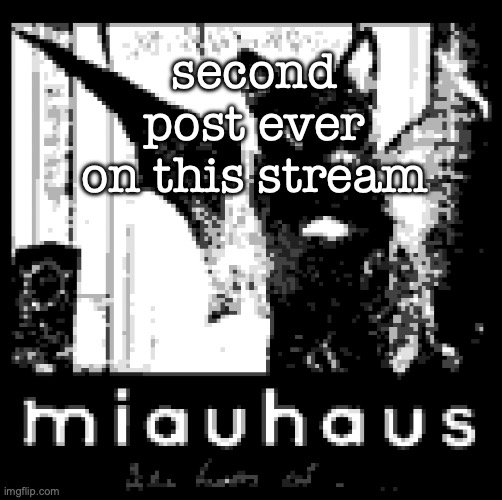 bela lugosi's cat | second post ever on this stream | image tagged in miauhaus | made w/ Imgflip meme maker